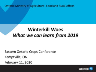 Winterkill Woes
What we can learn from 2019
Eastern Ontario Crops Conference
Kemptville, ON
February 11, 2020
Ontario Ministry of Agriculture, Food and Rural Affairs
 