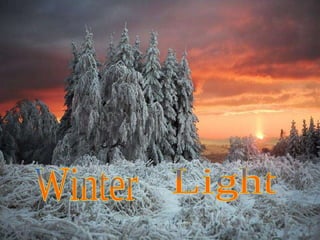 Winter Light 