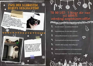 30 31
QCHEFS Tito! - für immer in
unseren Herzen!Geboren am Heiligen Abend - wird er
immer zur QCHEFS Weihnacht gehören!
2016 startete er im biblischen Alter von 112 seine
Weltkarriere als QCHEFS Markenbotschafter.
Er wurde 147 Hundejahre alt. Als einer der
bekanntesten Hunde der Welt- bleibt er immer:
The Cool Dogman!
Trude wohnt ab heut im Schrank!
Und wir fragten - ist sie krank?
Nichts - wofür sie sich sputet!
Wir haben’s gleich vermutet-
Ihre QCHEFS liegen oben drauf -
und da passt sie jetzt wohl auf!
Zwei der Schönsten
QCHEFS Geschichten!
Aus dem Eisfach - wunderbar erfrischend!
TO DO LIST: 7 Dinge die man
mit QCHEFS
unbedingt ausprobieren sollte!
1.
2.
3.
4.
5.
6.
7.
Superbelohnung für eine tolle Leistung !
Zahnputzflockenpaste aus der Lickimatte !
Trainingsleckerli auf Abenteuerspaziergang!
Glücklich allein zu Haus - Beschäftigung!
Selbst gezauberte Eiscreme mit Knusperstücken!
Riesengummibärchen - nach 5 Minuten Rezept!
 