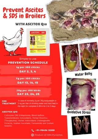 Prevent Ascites
& SDS in Broilers
PREVENTION SCHEDULE
In case of mortality 1g per 3Kg bodyweight or
3-4g per liter of drinking water and hold feed in
the night for complete 6-8hrs for 2 to 3 days.
CoEnzyme Q10 (Ubiquinone), Blood buffers,
Transmembrane Antioxidants, Herbal Diuretics
(Theophyline), Herbal Antioxidants (Ashwagandha
Extracts), Sodium Ascorbate, Furosemide and Sodium
Selenite.
ASCITOX Q10
DAY 2, 3, 4
1g per 100 chicks
WITH ASCITOX Q10
Water Belly
Oxidative Stress
Simple to use
7g per 100 chicks
DAY 13, 14, 15
20g per 100 birds
DAY 23, 24, 25
FOR
TREATMENT
+91-95406 12588
Product of IMN Pyrophos
 