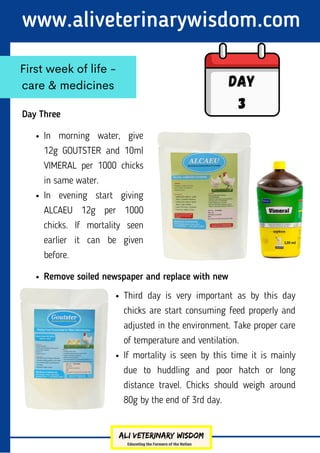 www.aliveterinarywisdom.com
Day Three
First week of life -
care & medicines Day
3
In morning water, give
12g GOUTSTER and 10ml
VIMERAL per 1000 chicks
in same water.
In evening start giving
ALCAEU 12g per 1000
chicks. If mortality seen
earlier it can be given
before.
Third day is very important as by this day
chicks are start consuming feed properly and
adjusted in the environment. Take proper care
of temperature and ventilation.
If mortality is seen by this time it is mainly
due to huddling and poor hatch or long
distance travel. Chicks should weigh around
80g by the end of 3rd day.
Remove soiled newspaper and replace with new
 
