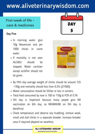 www.aliveterinarywisdom.com
Day Five
First week of life -
care & medicines Day
5
In morning water, give
10g Nexamune and per
1000 chicks in same
water.
If mortality is not seen
ALCAEU should be
stopped. Water sanitizer
except acidifier should not
be given.
By fifth day average weight of chicks should be around 125
-130g and mortality should less than 0.2% (2/1000).
Water consumption should be 55liter or less in winters.
Total feed consumed by now is 100 to 110g & FCR of 0.76
5th day is important because many people give ND
vaccination on 6th day, so NEXAMUNE on 5th day is
beneficial.
Check temperature and observe any huddling, remove weak,
small and dull chicks in a separate brooder. Increase brooder
area if required (depend on weather).
 