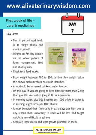 www.aliveterinarywisdom.com
Day Seven
First week of life -
care & medicines Day
7
Most important work to do
is to weigh chicks and
monitor growth.
Weight on 7th day explain
us the whole picture of
farm management, feed
and chick quality.
Check total feed intake.
Body weight between 180 to 200g is fine. Any weight below
this shows problem which has to be identified.
Area should be increased but keep under brooder.
On this day, if you are going to keep birds for more than 2.5kg
than give IBH vaccination (only if IBH is a problem).
In morning water, give 30g Septima per 1000 chicks in water &
in evening 30g Virocon per 1000 chicks.
It must be noted that if mortality in early days was high due to
any reason than uniformity in flock will be lost and target
weight is very difficult to achieve.
Separate these chicks and start growth promoter in them.
 
