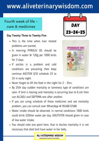Day Twenty Three to Twenty Five
www.aliveterinarywisdom.com
Fourth week of life -
care & medicines Day
23-24-25
This is the time when liver related
problems are started.
In morning PYROLIV DS should be
given in water @ 120g per 1000 birds
for 3 days.
If ascites is a problem and cold
conditions are prevailing then keep
continue ASCITOX Q10 schedule 23 to
25 in early night.
Never forget to lift the feed in the night for 2 - 3hrs.
By 25th day sudden mortality or lameness type of conditions are
seen. If bird is loosing and mortality is occurring due to E.coli then
use ALCAEU and SEPTIMA one after another.
If you are using schedule of these medicines and see mortality
problem, you can consult over WhatsApp @ 9540612588
Water intake should be observed, in normal conditions 1000 birds
could drink 220liter water per day. GOUTSTER should given in case
of low water intake.
You should note one point here, that in Ascites mortality it is not
necessary that died bird have water in her belly.
 