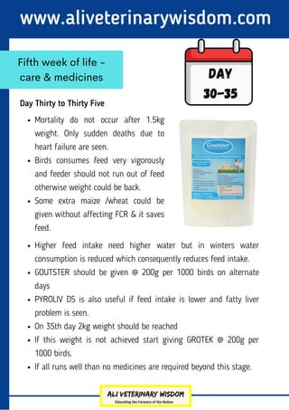 Day Thirty to Thirty Five
www.aliveterinarywisdom.com
Fifth week of life -
care & medicines Day
30-35
Mortality do not occur after 1.5kg
weight. Only sudden deaths due to
heart failure are seen.
Birds consumes feed very vigorously
and feeder should not run out of feed
otherwise weight could be back.
Some extra maize /wheat could be
given without affecting FCR & it saves
feed.
Higher feed intake need higher water but in winters water
consumption is reduced which consequently reduces feed intake.
GOUTSTER should be given @ 200g per 1000 birds on alternate
days
PYROLIV DS is also useful if feed intake is lower and fatty liver
problem is seen.
On 35th day 2kg weight should be reached
If this weight is not achieved start giving GROTEK @ 200g per
1000 birds.
If all runs well than no medicines are required beyond this stage.
 