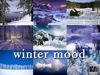 winter mood
 