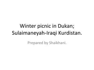 Winter picnic in Dukan; Sulaimaneyah-Iraqi Kurdistan. Prepared by Shaikhani. 
