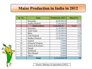 Maize Production in India in 2012
Sr. No. State Production (MT) Share(%)
1 Karnataka 40,90,000.00 18.94
2 Andhra Pradesh 37,60,000.00 17.42
3 Maharashtra 23,00,000.00 10.65
4 Rajasthan 16,70,000.00 7.74
5 Tamil Nadu 15,40,000.00 7.27
6 Bihar 14,20,000.00 7.04
7 Uttar Pradesh 11,10,000.00 6.07
8 Madhya Pradesh 10,90,000.00 5.97
9 Gujarat 770000 3.57
10 Himachal Pradesh 720000 3.33
11 Jammu & Kashmir 510000 2.36
12 Punjab 500000 2.32
13 Jharkhand 410000 1.9
14 West Bengal 350000 1.62
15 Others 820000 3.8
Total 2,10,60,000.00 100
Source: Ministry of Agriculture (2012)
 