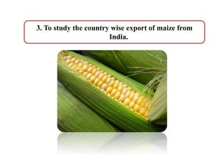 3. To study the country wise export of maize from
India.
 