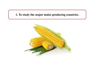 1. To study the major maize producing countries.
 