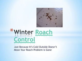 *                     Roach
    Control
    Just Because It’s Cold Outside Doesn’t
    Mean Your Roach Problem is Gone
 