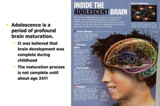 Effects of Drugs on the Brain | PPT