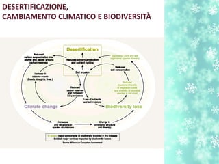 DESERTIFICAZIONE,
CAMBIAMENTO CLIMATICO E BIODIVERSITÀ
 