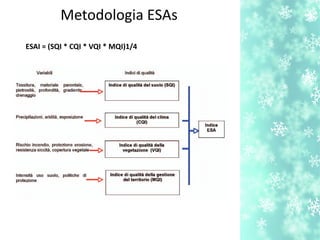 ESAI = (SQI * CQI * VQI * MQI)1/4
Metodologia ESAs
 