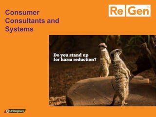 Consumer Consultants and Systems  