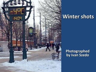 Winter shots Photographed by Ivan Szedo 