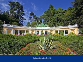 Arboretum in Sochi

 