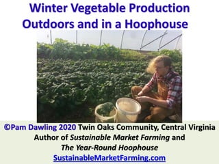Winter Vegetable Production
Outdoors and in a Hoophouse
©Pam Dawling 2020 Twin Oaks Community, Central Virginia
Author of Sustainable Market Farming and
The Year-Round Hoophouse
SustainableMarketFarming.com
 