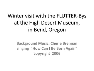 Winter visit with the FLUTTER-Bys at the High Desert Museum, in Bend, Oregon  Background Music: Cherie Brennan singing  “How Can I Be Born Again” copyright  2006 