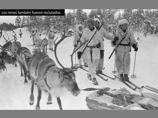 Los renos también fueron reclutados.
 