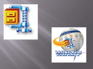 WinZip 10.0 Pro incluye: Asistente para Tareas, el cual ofrece tareas predefinidas de copia de seguridad de datos y además permite automatizar, personalizar y programar tareas de compresión; función para transferir archivos usando el protocolo FTP; y compresión y grabación de archivos Zip directamente en un CD o DVD; esta última función sólo está disponible para el Sistema Operativo Windows XP o posterior.WinZip 11.0 ofrece una vista de imágenes en miniatura y selección de compresión automática, además de una compresión mejorada de archivos de audio .WAV y la capacidad de abrir archivos .RAR y .BZ2.