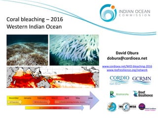 Coral bleaching – 2016
Western Indian Ocean
David Obura
dobura@cordioea.net
www.cordioea.net/WIO-bleaching-2016
www.reefresilience.org/network
 