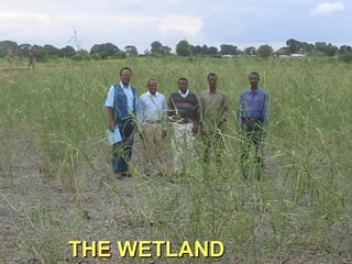 WIOLAB Achievements, Best Practices and Challenges