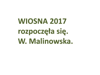 WIOSNA 2017
rozpoczęła się.
W. Malinowska.
 