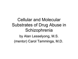 Cellular and Molecular Substrates of Drug Abuse in Schizophrenia by Alan Lesselyong, M.S. (mentor) Carol Tamminga, M.D.  