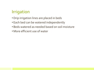 Irrigation
• Drip irrigation lines are placed in beds
• Each bed can be watered independently
• Beds watered as needed based on soil moisture
• More efficient use of water