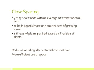 Close Spacing
• 4 ft by 100 ft beds with an average of 2 ft between all
beds
• 20 beds approximate one quarter acre of growing
space
• 2-6 rows of plants per bed based on final size of
plants
Reduced weeding after establishment of crop
More efficient use of space