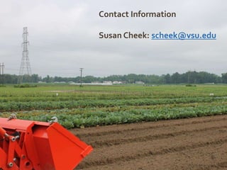 Contact Information
Susan Cheek: scheek@vsu.edu