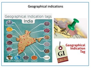 Geographical indications
 