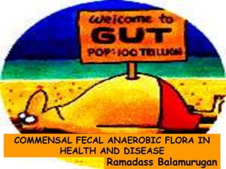 16S rRNAVariability decreasesGroupe 1Groupe 2Groupe 3Groupe 4Groupe 5Groupe 6Molecular Clock