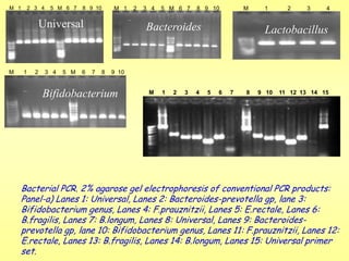 COMMENSAL FECAL ANAEROBIC FLORA IN HEALTH AND DISEASERamadass Balamurugan