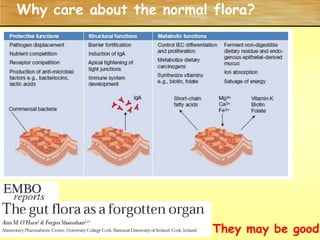 Why care about the normal flora?They may be good