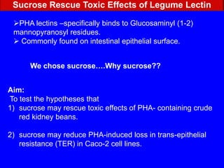 ConclusionClear changes in the fecal bacterial flora occur as children grow up. 