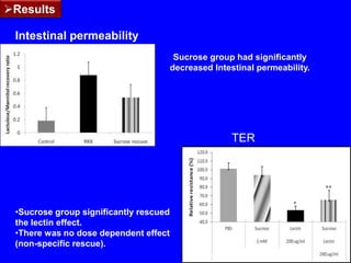 Perhaps stabilize,during late teens and reach the adult patterns.R. Balamurugan et al, 2008 AJCN. 