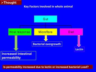 13 were rota viral +ve
