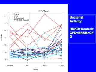 Expt n°2bResultsNeonates & Rotaviral DiarrheaM  R+1R+1R-1R-1 M  R+2R+2R-2R-2  M R+3R+3R-3  M   H1 H2   C   M B.longum subs infantisSubjects: 12 neonates rotaviral +ve & 12 healthy neonates.Sample:fecal samples.samples collected on  1,6,11and 16  were studied.Methods: TTGE, qPCR.Quality of Bifidobacterium never changed.Unpublished data