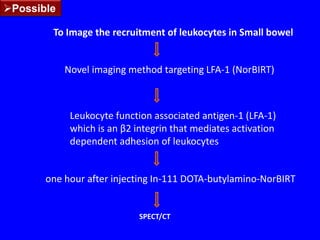 Study n°3ResultsB.fibrisolvens  was grown in a medium containing 