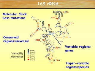 Laborious and time consuming.