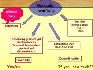 Often inaccurate because of inability to detect poorly cultivable bacteria60 to 80% of the total human fecal microflora is not yet cultivated.Langendijk et al., 1995 ; Wilson and Blitchington, 1996 ; Suau et al., 1999Low sensitivityBacteriaCGATDNAMolecular methodsDNA Sequence;Bacterial Identity card