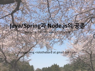 Java/Spring과 Node.js의 공존
Java/Spring 전성시대에 Node.js가 살아남는 법
Dongsu Jang <iolothebard at gmail dot com>
 