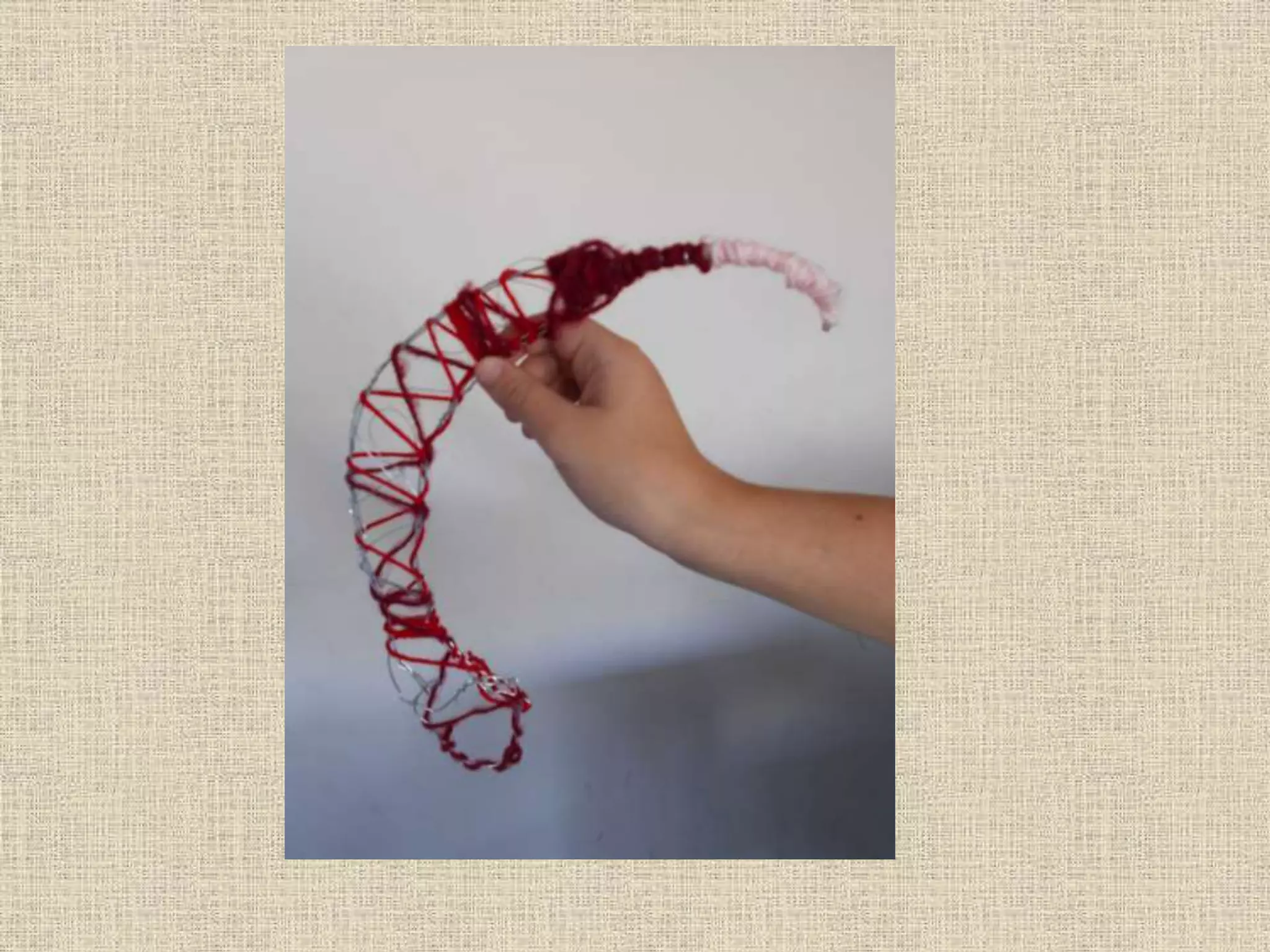 Art and Nature Project. Seeds and spores. Wire sculpture