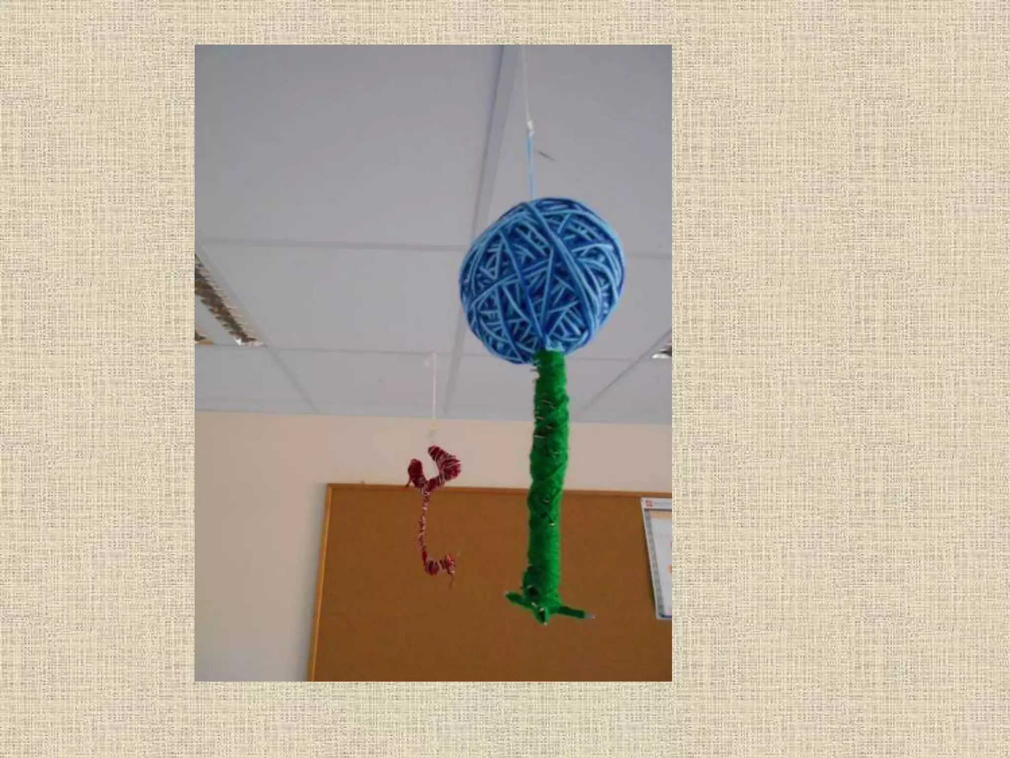 Art and Nature Project. Seeds and spores. Wire sculpture