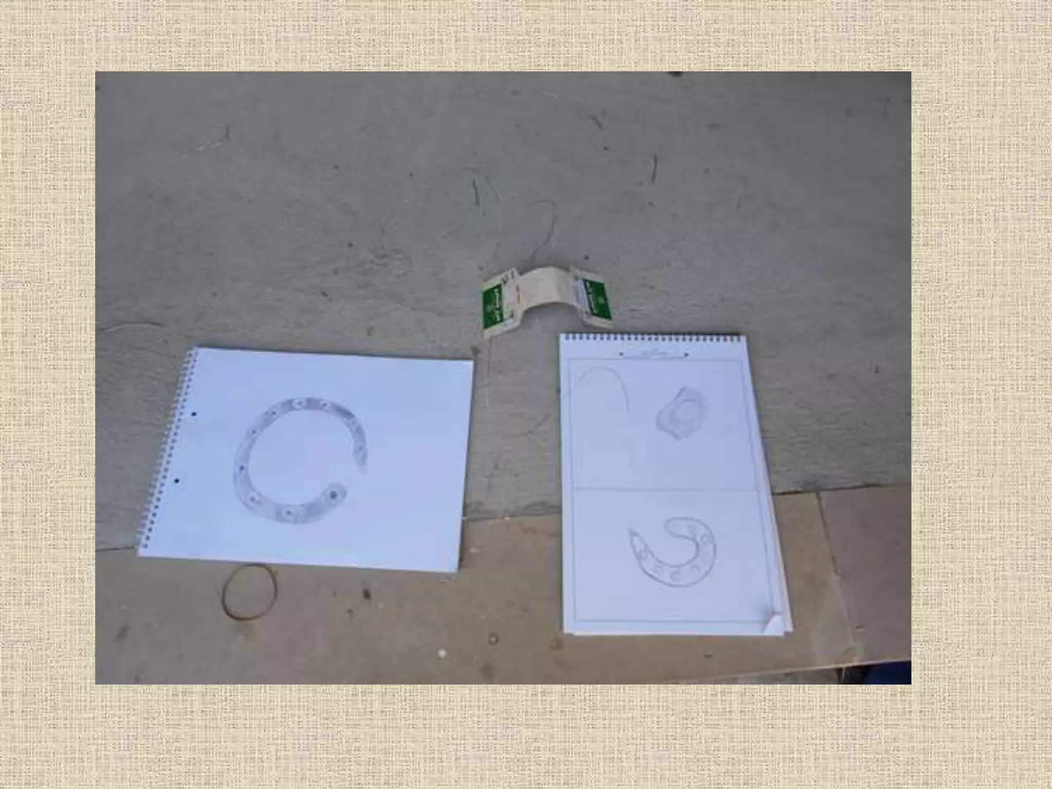 Art and Nature Project. Seeds and spores. Wire sculpture