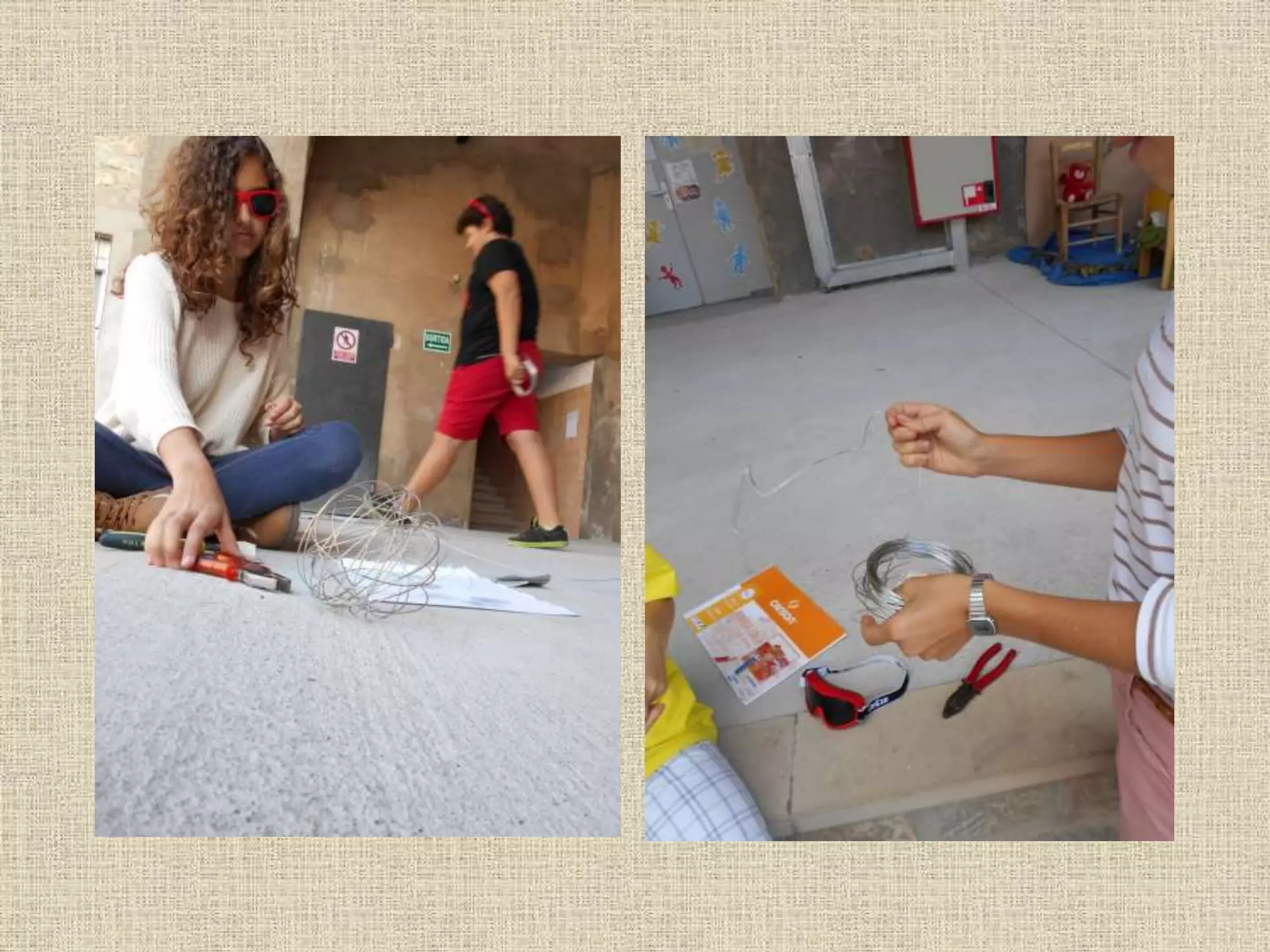 Art and Nature Project. Seeds and spores. Wire sculpture