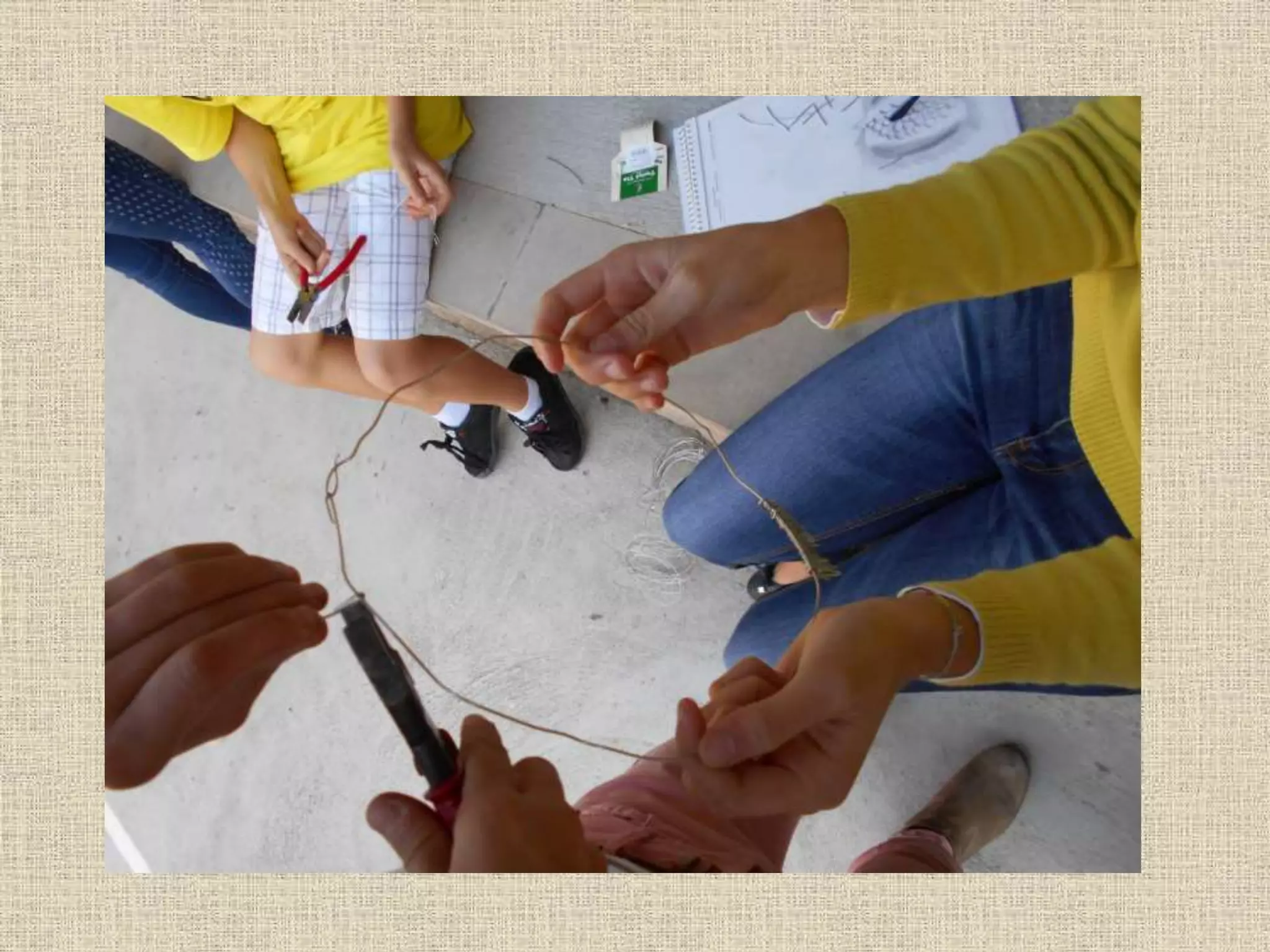Art and Nature Project. Seeds and spores. Wire sculpture