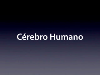 Cérebro Humano
 
